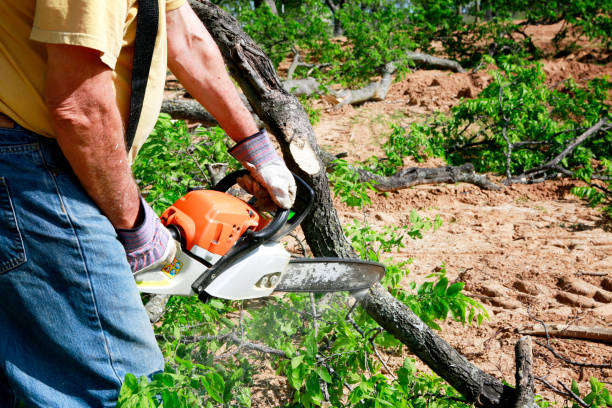 Best Emergency Tree Service  in Topeka, KS